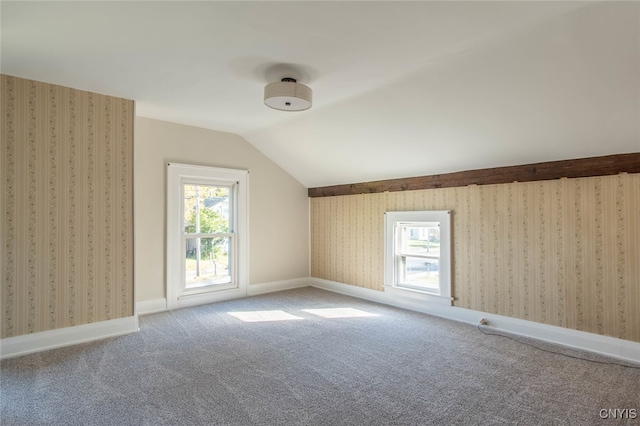 additional living space with lofted ceiling and carpet floors