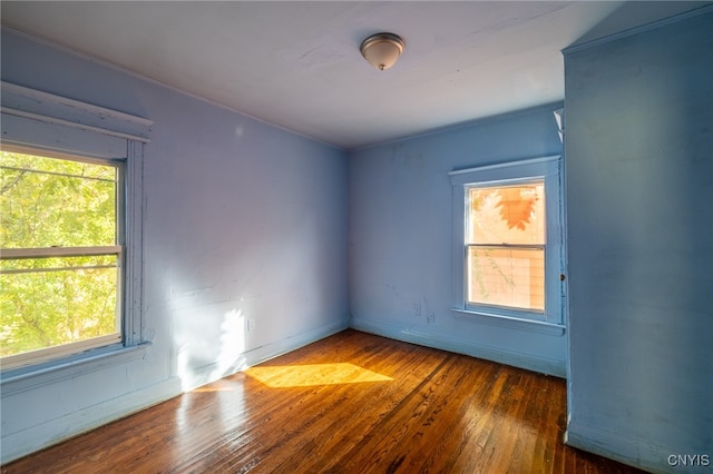 unfurnished room featuring dark wood-type flooring