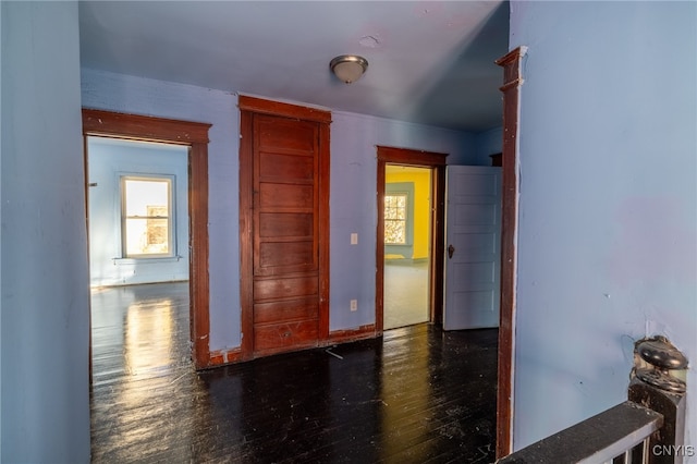 empty room featuring dark hardwood / wood-style flooring