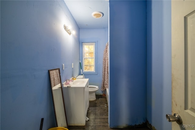 bathroom with vanity, wood-type flooring, and toilet