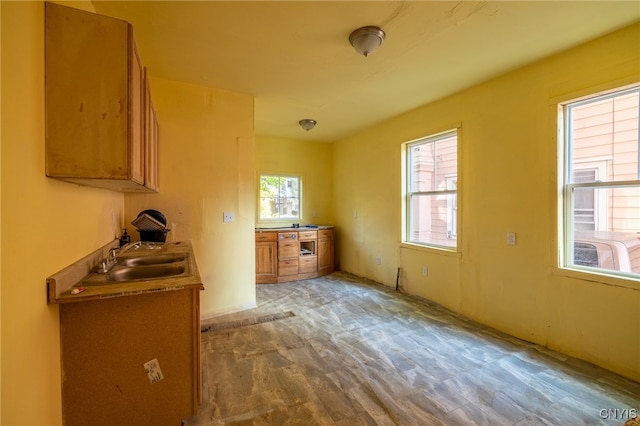 kitchen with sink and light hardwood / wood-style flooring