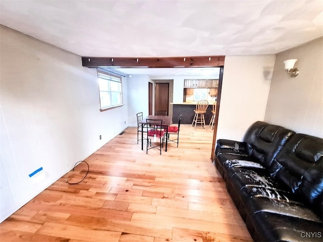 living room with light hardwood / wood-style floors