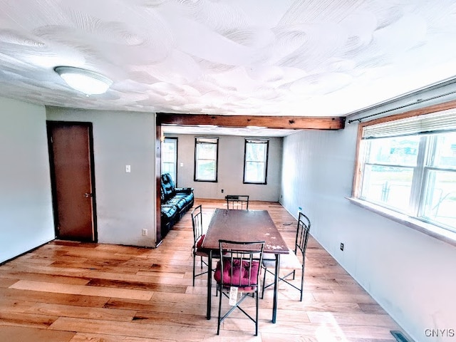 dining room featuring light hardwood / wood-style floors