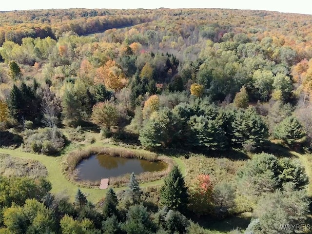 10070 Warner Gulf Rd, Sardinia NY, 14080 land for sale