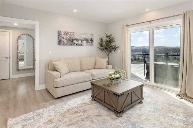 living room featuring light hardwood / wood-style floors