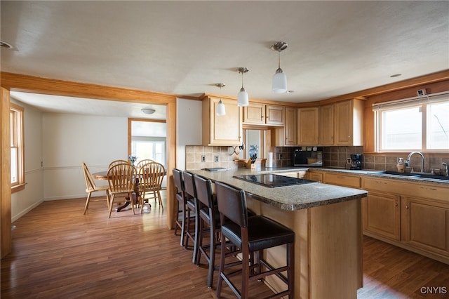 kitchen with black electric stovetop, dark wood-type flooring, sink, and pendant lighting