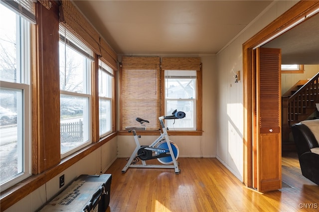 exercise room featuring light hardwood / wood-style floors and crown molding