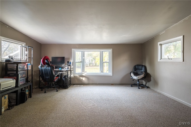 office space with carpet and a wealth of natural light