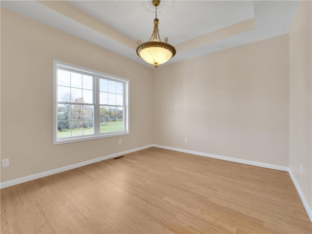 spare room with light hardwood / wood-style floors and a raised ceiling