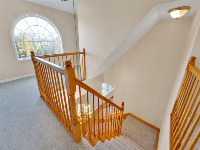 stairway with carpet flooring