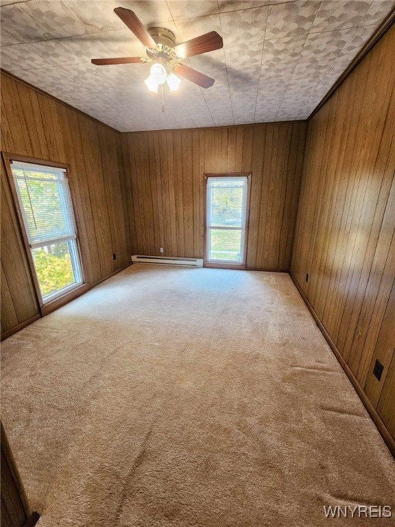 empty room featuring wood walls, carpet, and plenty of natural light