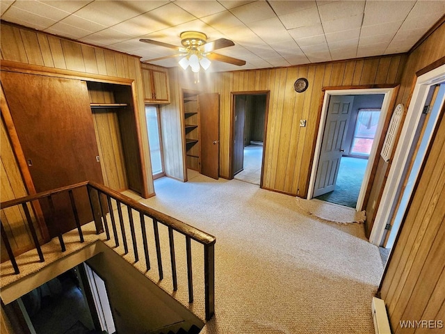 staircase featuring wood walls, carpet flooring, and ceiling fan