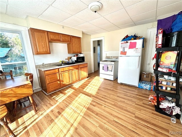 kitchen featuring white appliances, a paneled ceiling, sink, and light wood-type flooring