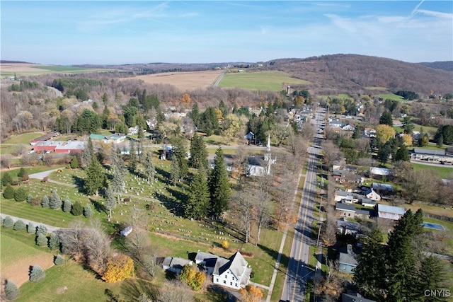 birds eye view of property featuring a mountain view