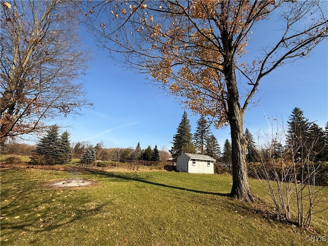 view of yard with a storage shed