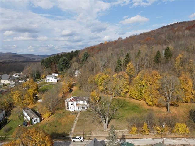 birds eye view of property with a mountain view