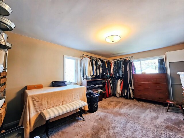 42 Pine Cir, Big Flats, NY 14845 - walk in closet with carpet
