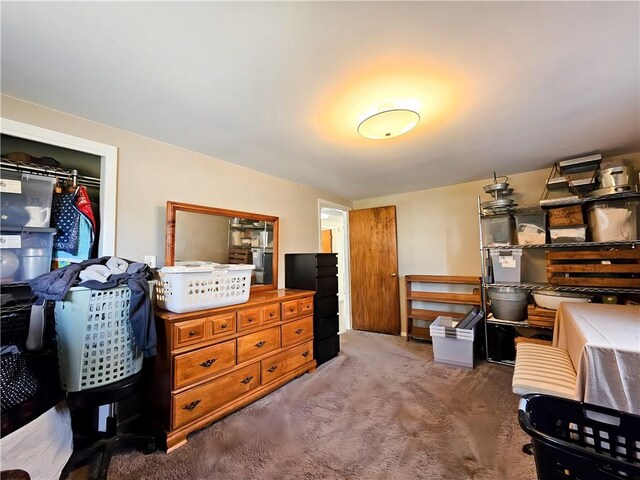 42 Pine Cir, Big Flats, NY 14845 - bedroom with carpet