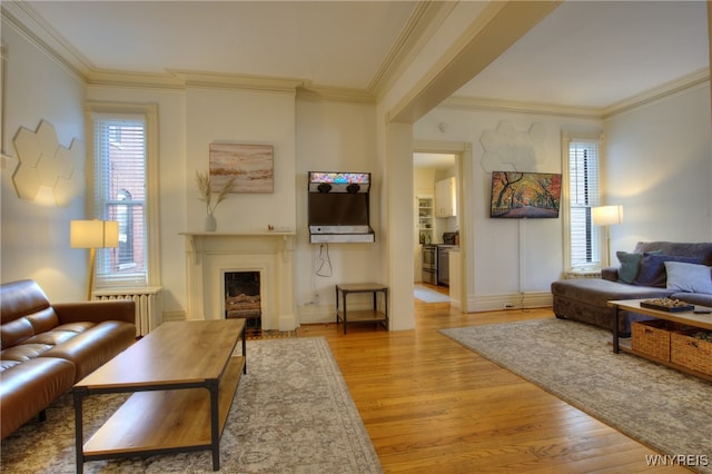 living room with light hardwood / wood-style flooring, ornamental molding, and radiator