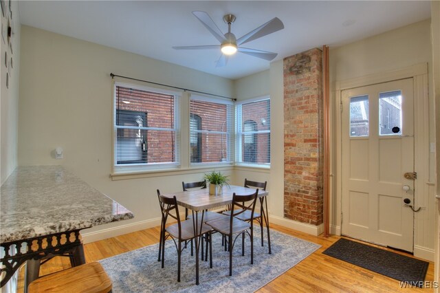 dining room with light hardwood / wood-style floors and ceiling fan