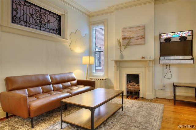 living room featuring ornamental molding, hardwood / wood-style flooring, and radiator heating unit