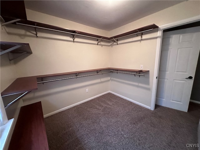 walk in closet featuring dark carpet