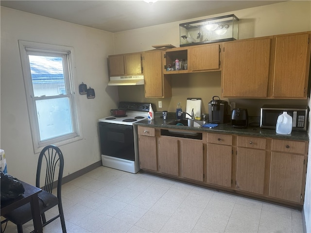 kitchen featuring electric range and sink