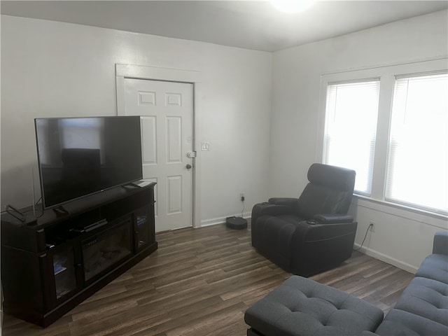 living room featuring dark wood-type flooring