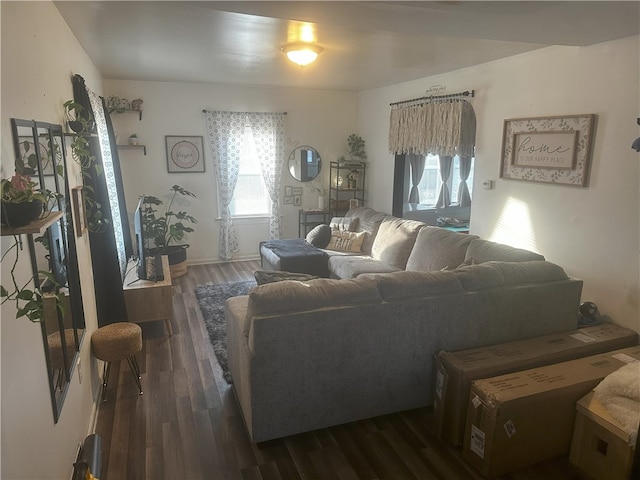 living room featuring dark hardwood / wood-style flooring