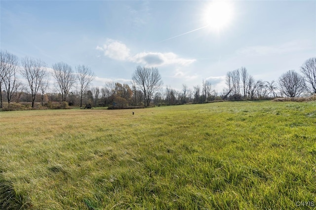 view of yard featuring a rural view