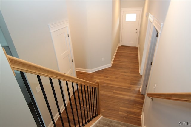 stairway with hardwood / wood-style flooring