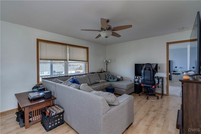 living room featuring ceiling fan and light wood-type flooring