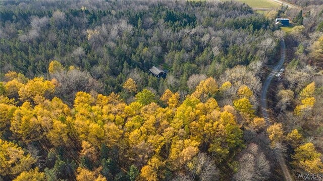 3241 Syler Rd, Orangeville, NY 14167 - photo 34