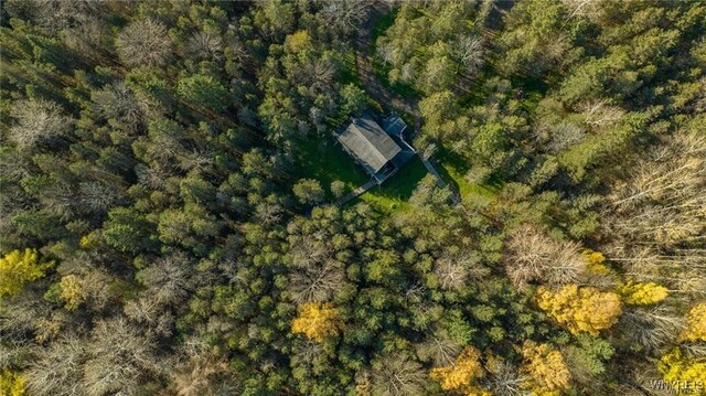 3241 Syler Rd, Orangeville, NY 14167 - photo 21