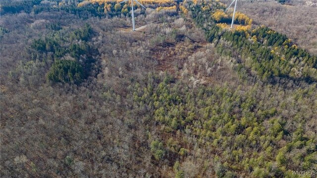 3241 Syler Rd, Orangeville, NY 14167 - photo 30