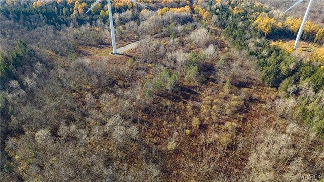 3241 Syler Rd, Orangeville, NY 14167 - photo 32