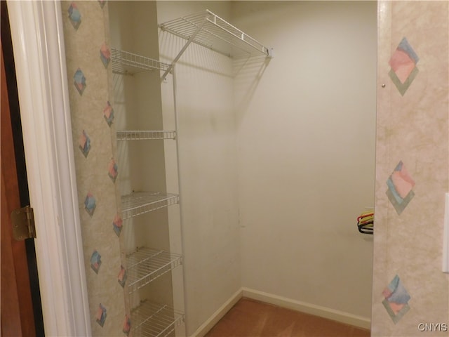 view of walk in closet