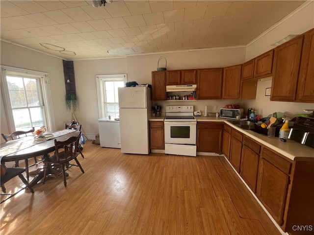 kitchen with sink, crown molding, light hardwood / wood-style floors, and white appliances