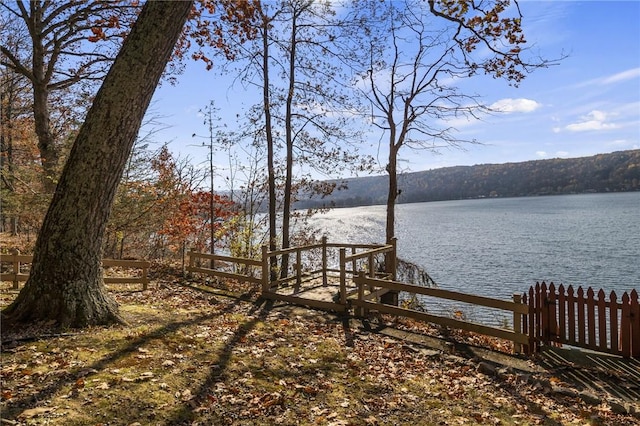 399 Fire Lane 34, Moravia, NY 13118 - view of dock featuring a water view