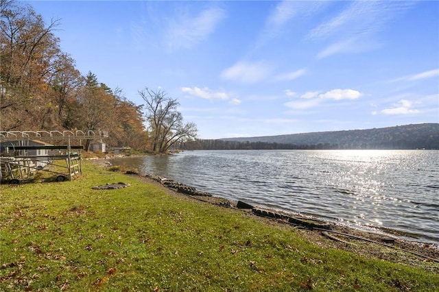 399 Fire Lane 34, Moravia, NY 13118 - view of water feature