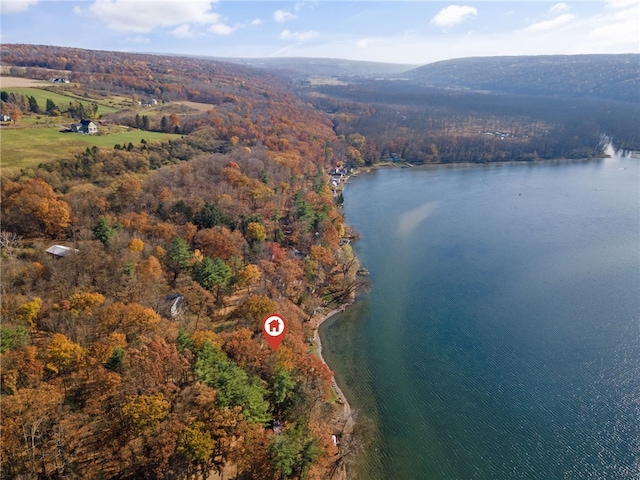 399 Fire Lane 34, Moravia, NY 13118 - drone / aerial view featuring a wooded view and a water view