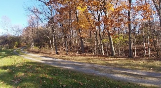 399 Fire Lane 34, Moravia, NY 13118 - view of street featuring a wooded view