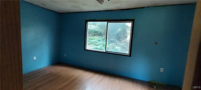 spare room with hardwood / wood-style flooring