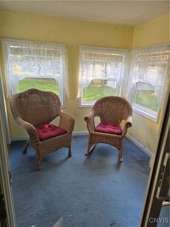 sitting room with a textured ceiling, carpet floors, and plenty of natural light