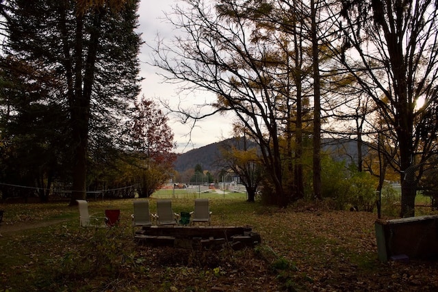 view of yard with a mountain view