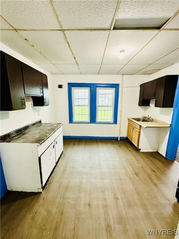 kitchen with sink, a paneled ceiling, and light hardwood / wood-style flooring