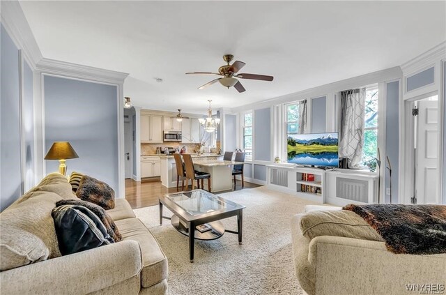 living room with crown molding, light wood-type flooring, and ceiling fan with notable chandelier