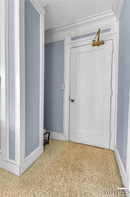 interior space featuring crown molding and carpet