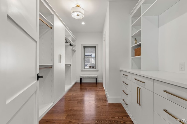 spacious closet featuring dark hardwood / wood-style flooring