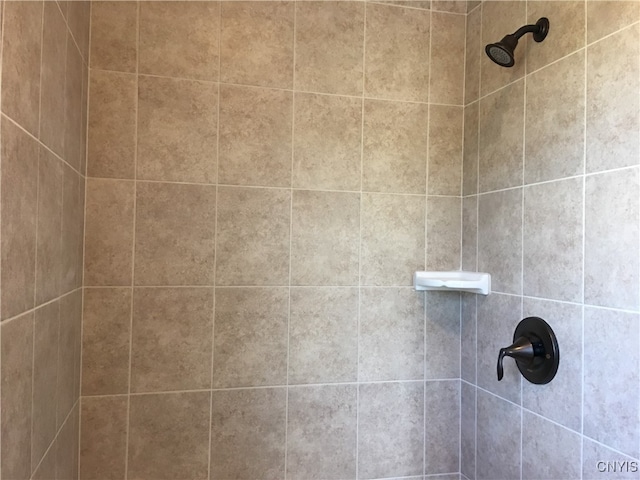 room details featuring tiled shower